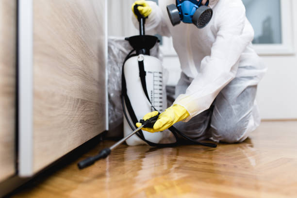 Best Wildlife Control Services  in Sweetser, IN