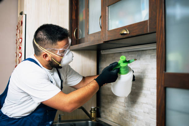 Best Pest Removal Services  in Sweetser, IN