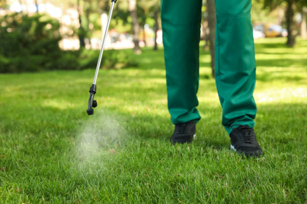 Best Local Pest Control Services  in Sweetser, IN