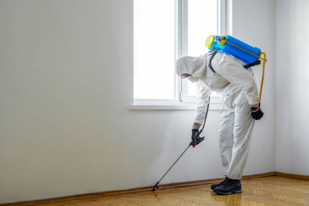 Insect Control in Sweetser, IN